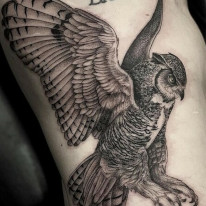 Example of tattoo artist Alan Lott's work - black and grey fine line tattoo of an owl reaching for prey.
